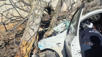 Otomobil ağaçlara ok gibi saplandı! 2 ölü, 1 ağır yaralı