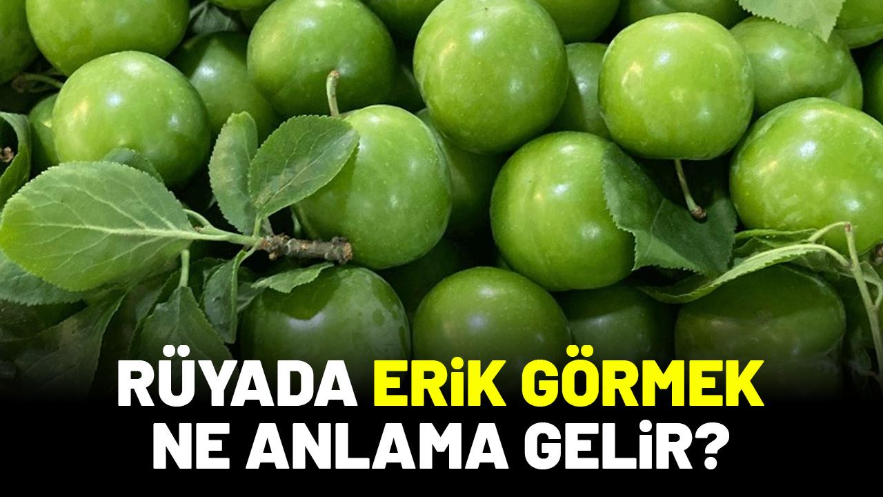 Rüyada erik görmek ne anlama gelir?