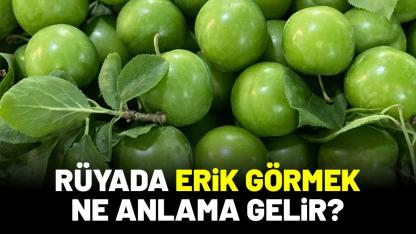 Rüyada erik görmek ne anlama gelir?