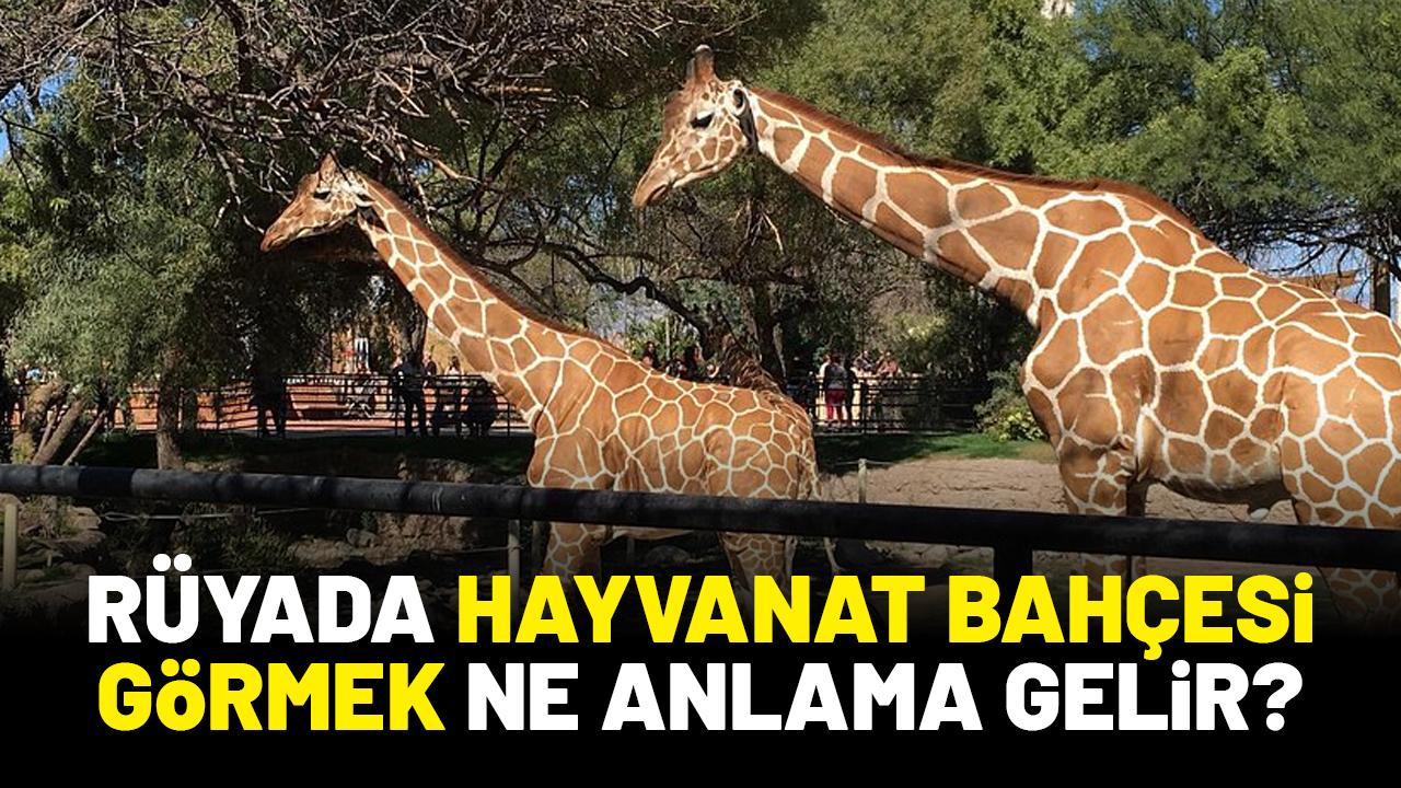 Rüyada hayvanat bahçesi görmek ne anlama gelir?