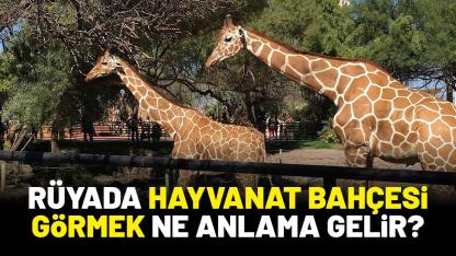 Rüyada hayvanat bahçesi görmek ne anlama gelir?