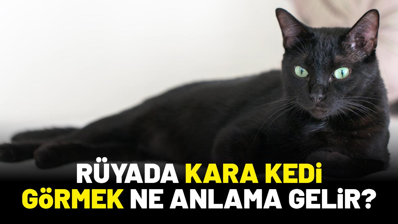 Rüyada kara kedi görmek ne anlama gelir?