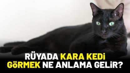Rüyada kara kedi görmek ne anlama gelir?