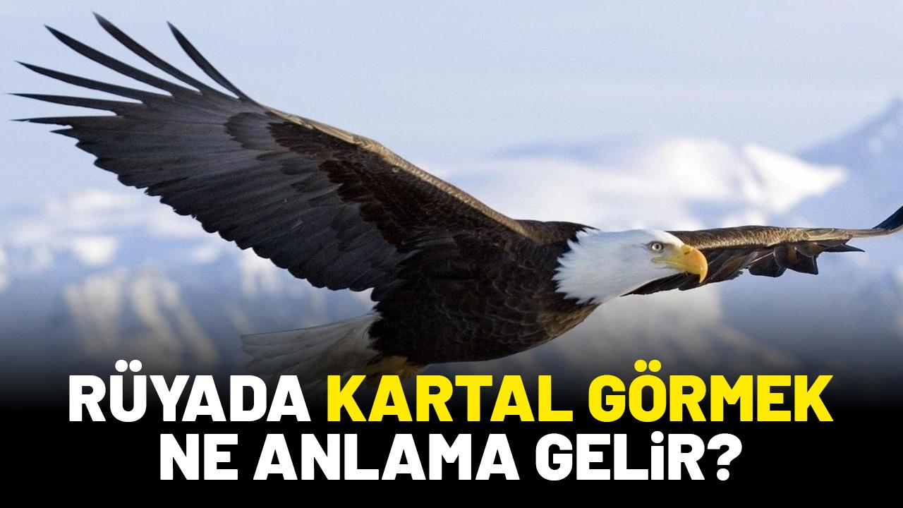 Rüyada kartal görmek ne anlama gelir?