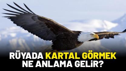 Rüyada kartal görmek ne anlama gelir?