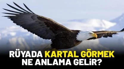 Rüyada kartal görmek ne anlama gelir?