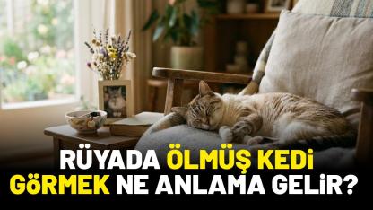 Rüyada ölmüş kedi görmek ne anlama gelir?