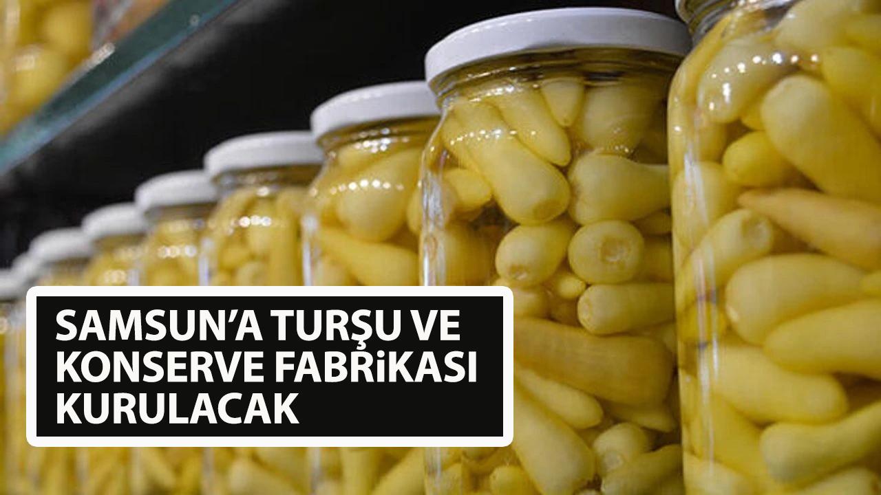 Samsun Bafra'ya turşu ve konserve fabrikası müjdesi
