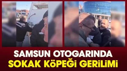 Samsun otogarında sokak köpeği gerilimi