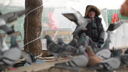 Samsun'da çocukların Kuşçu Dedesi kuşlar için meydanı terk etmiyor