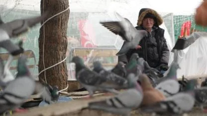 Samsun'da çocukların Kuşçu Dedesi kuşlar için meydanı terk etmiyor