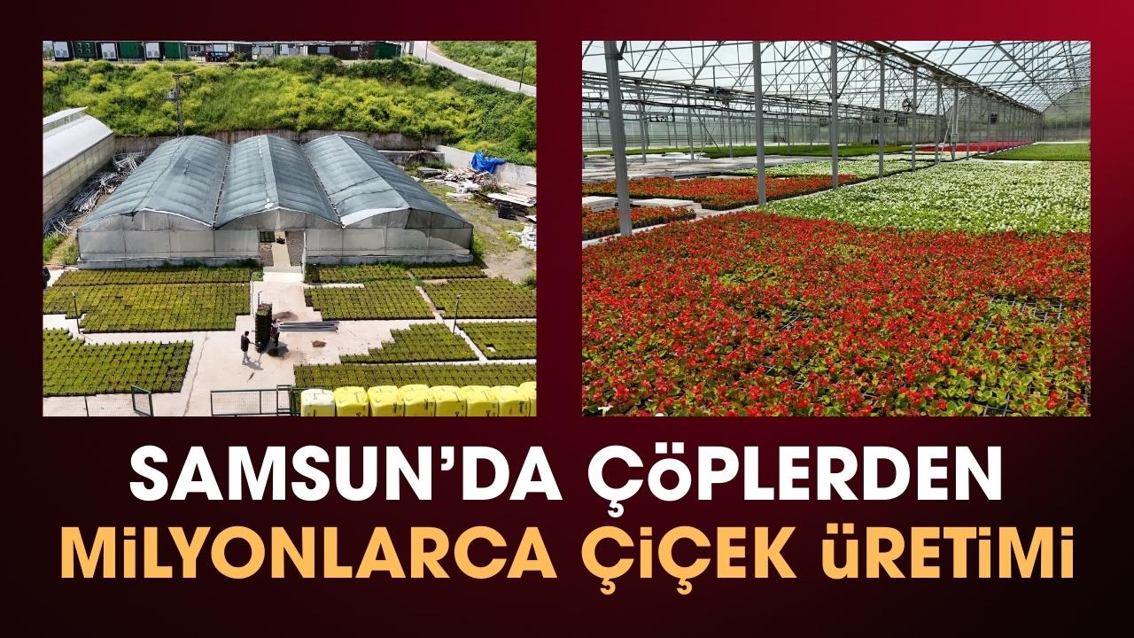 Samsun’da çöpten elde edilen ısıyla milyonlarca çiçek üretiliyor