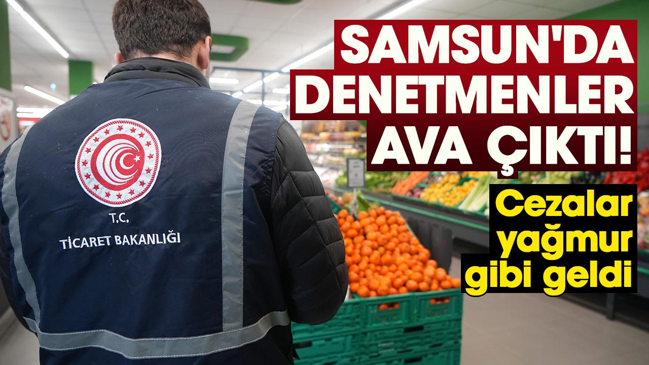Samsun'da denetmenler ava çıktı! Cezalar yağmur gibi geldi