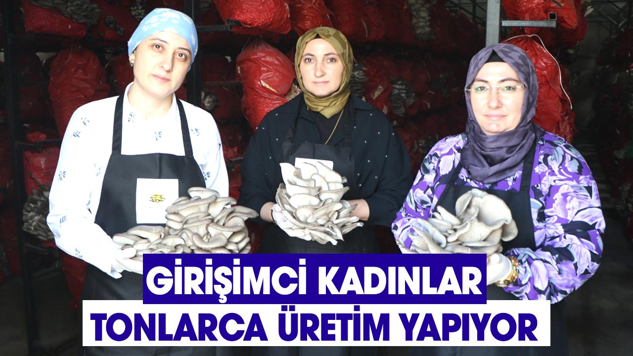 Samsun’da girişimci kadınlar tonlarca mantar üretimi yapıyor!