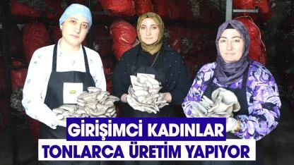 Samsun’da girişimci kadınlar tonlarca mantar üretimi yapıyor!