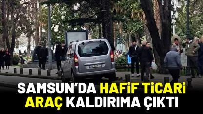 Samsun'da hafif ticari araç kaldırıma çıktı