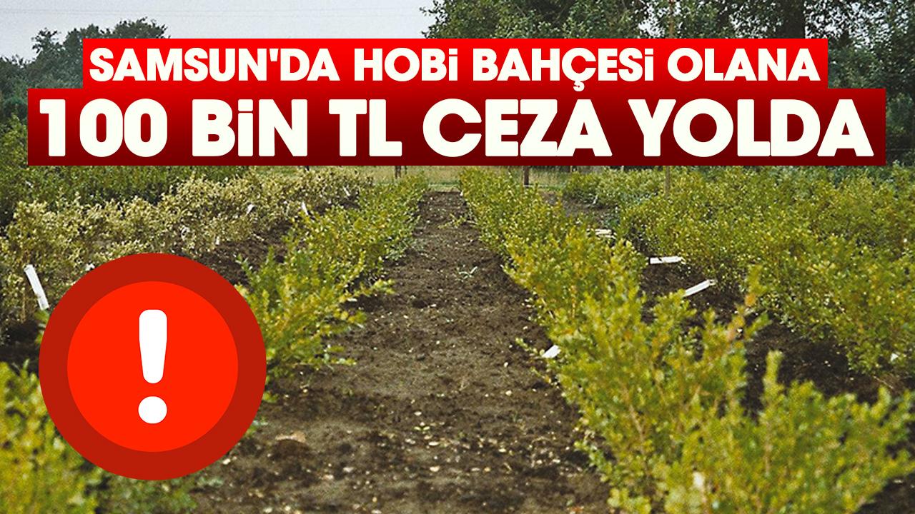 Samsun'da hobi bahçesi olana 100 bin TL ceza yolda