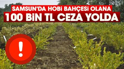 Samsun'da hobi bahçesi olana 100 bin TL ceza yolda