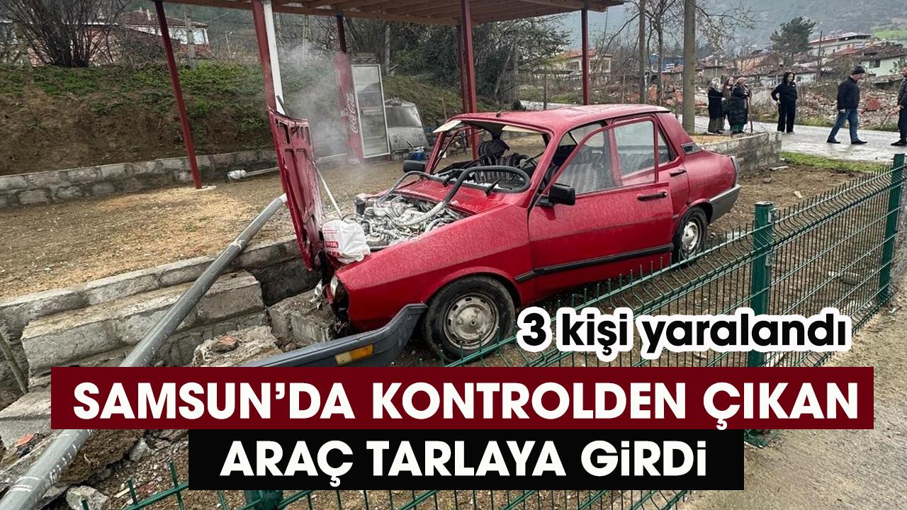 Samsun'da kontrolden çıkan otomobil tarlaya girdi