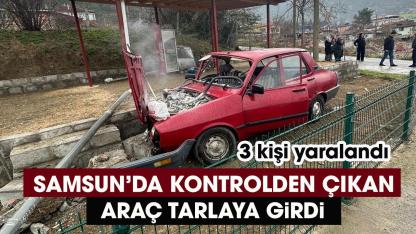 Samsun'da kontrolden çıkan otomobil tarlaya girdi