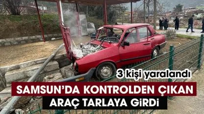 Samsun'da kontrolden çıkan otomobil tarlaya girdi