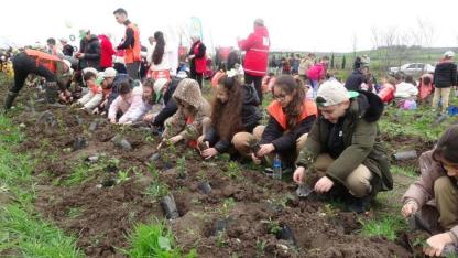 Samsun'da minik eller 3 bin fidanı toprakla buluşturdu