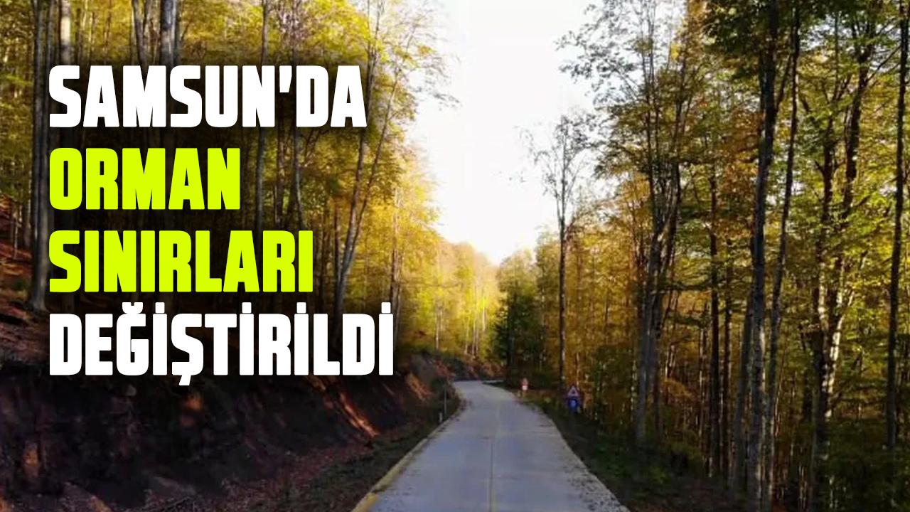 Samsun'da orman sınırları değiştirildi