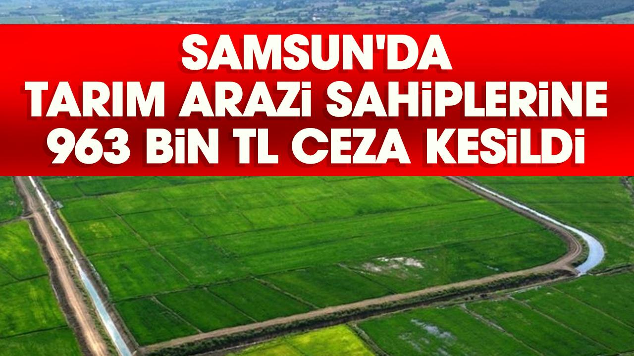 Samsun'da tarım arazi sahiplerine 963 bin TL ceza kesildi