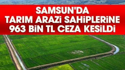 Samsun'da tarım arazi sahiplerine 963 bin TL ceza kesildi