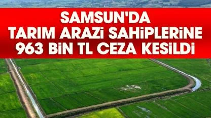 Samsun'da tarım arazi sahiplerine 963 bin TL ceza kesildi