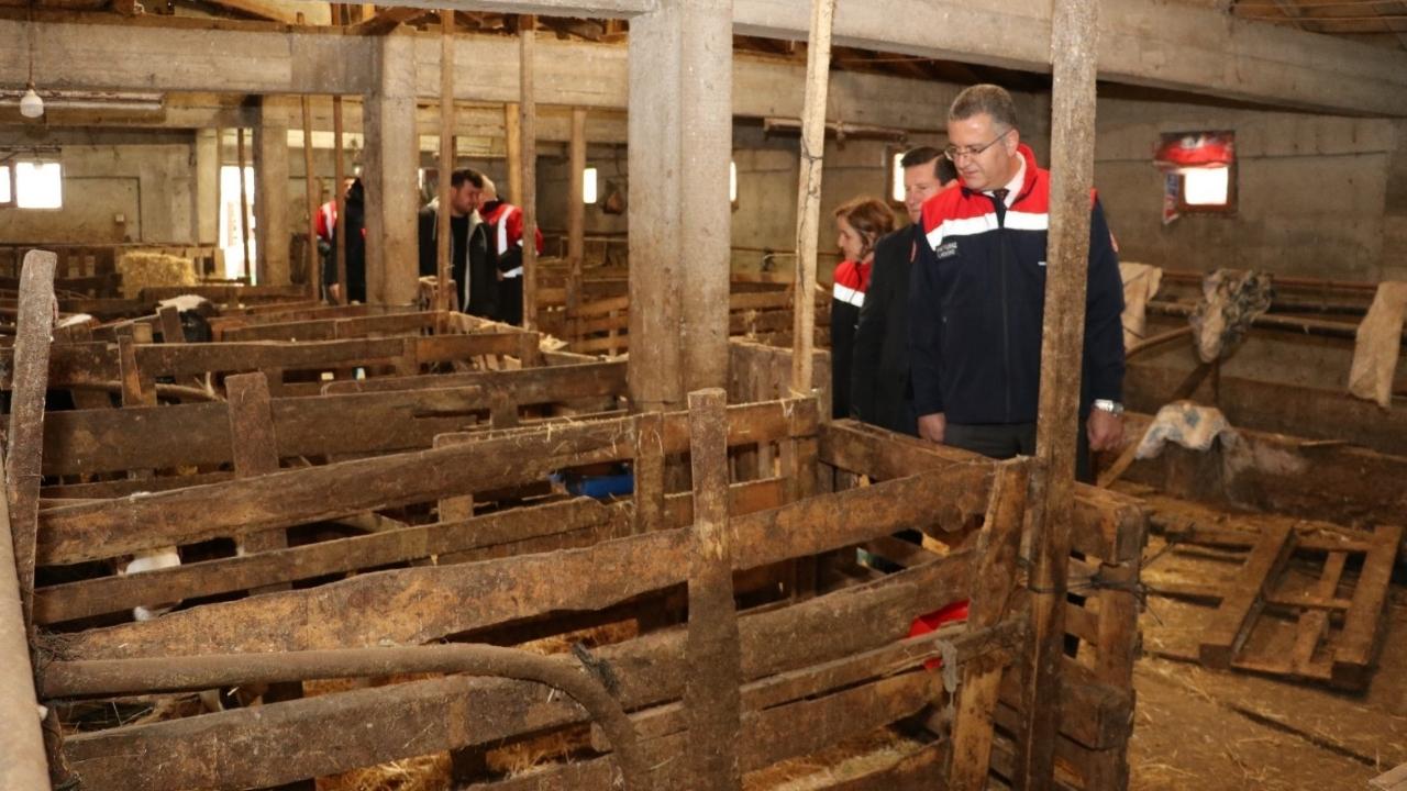 Samsunlu üreticiye müjde! Ari işletmelere 3 kat fazla destek!