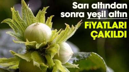 Sarı altından sonra yeşil altın fiyatları çakıldı