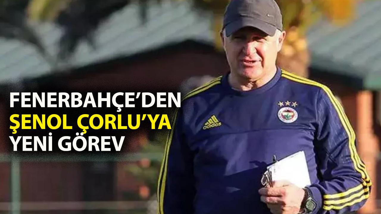 Şenol Çorlu kimdir?