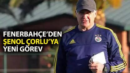 Şenol Çorlu kimdir?