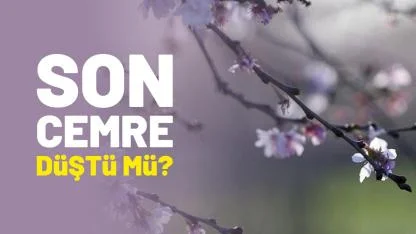 Son cemre düştü mü? Cemre toprağa ne zaman düşecek?
