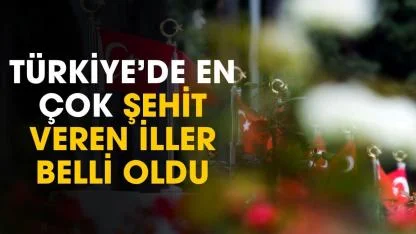Türkiye'de en çok şehit veren iller açıklandı