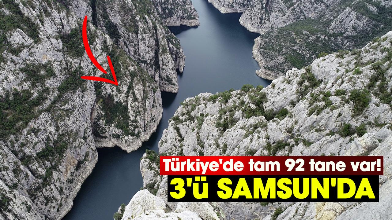 Türkiye'de tam 92 tane var! 3'ü Samsun'da