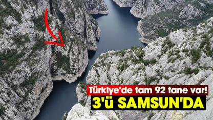 Türkiye'de tam 92 tane var! 3'ü Samsun'da