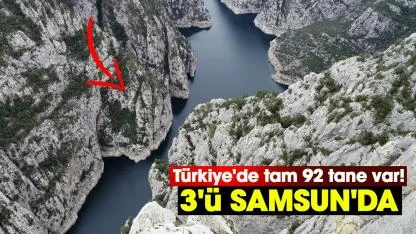 Türkiye'de tam 92 tane var! 3'ü Samsun'da
