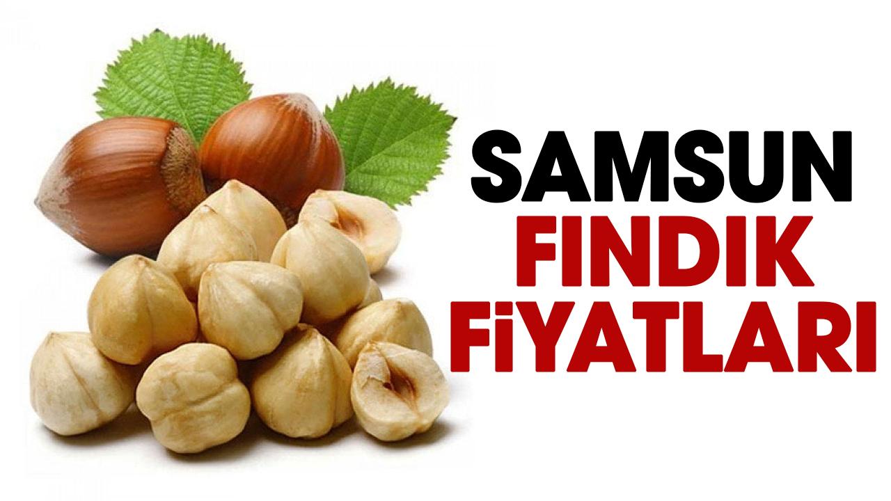 10 Nisan Cuma fındık fiyatları ne kadar? Samsun'da fındık fiyatları düşüyor mu? Samsun fındık fiyatları