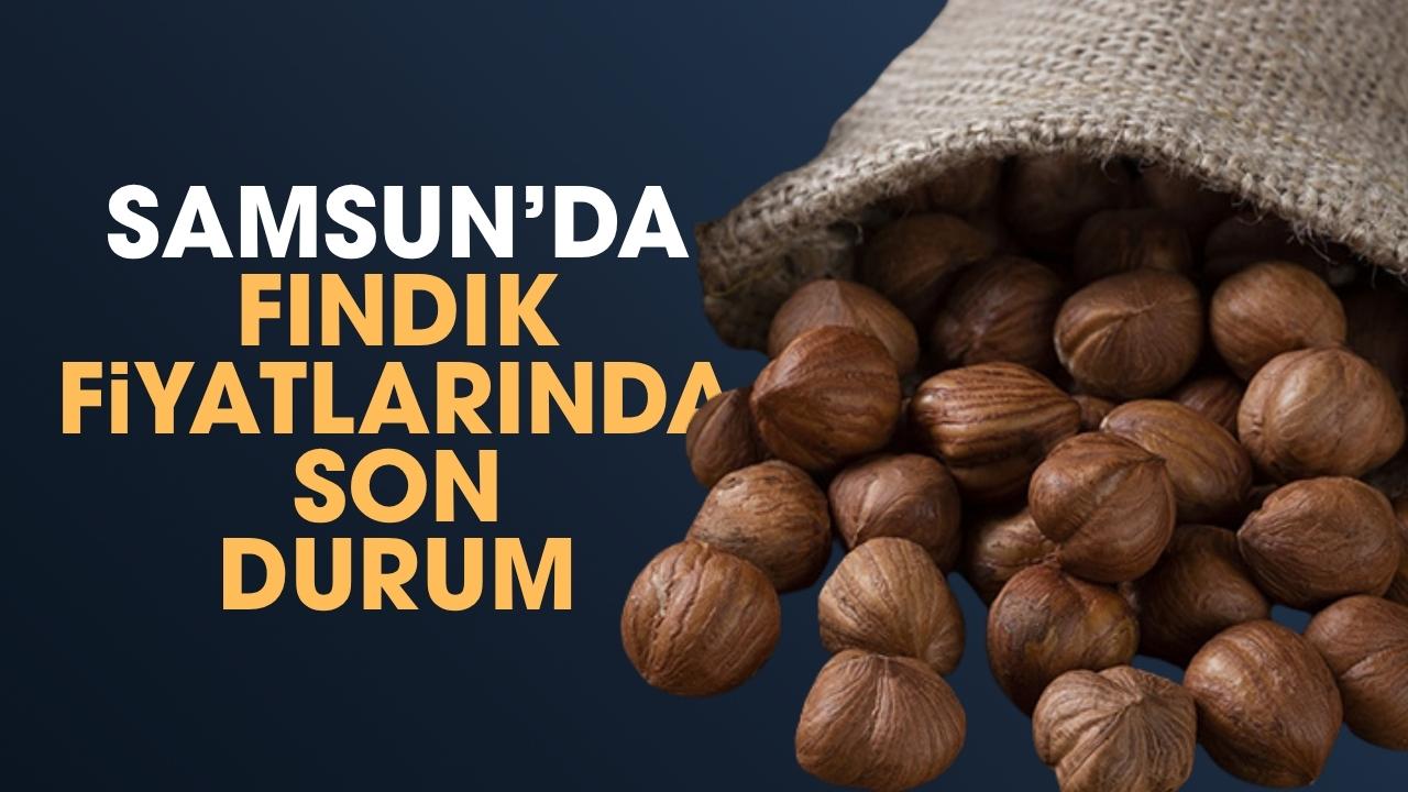 13 Nisan Pazartesi fındık fiyatları ne kadar? Samsun'da fındık fiyatları düşüyor mu? Samsun fındık fiyatları