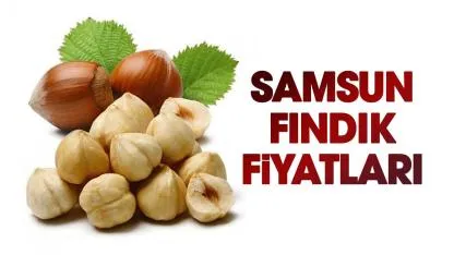 24 Nisan Cuma fındık fiyatları ne kadar? Samsun fındık fiyatları