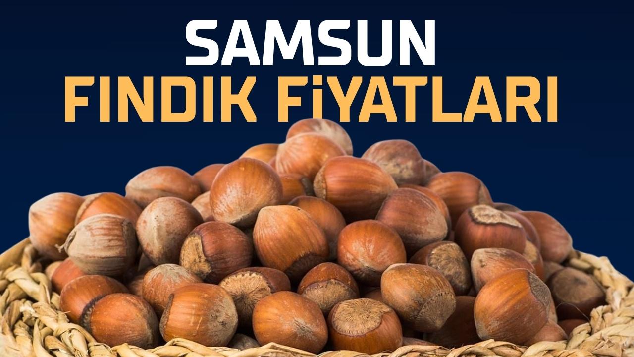 26 Nisan Pazar fındık fiyatları ne kadar? Samsun fındık fiyatları