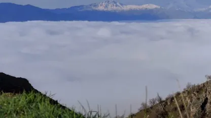 Bir mahalle sis denizinde kayboldu