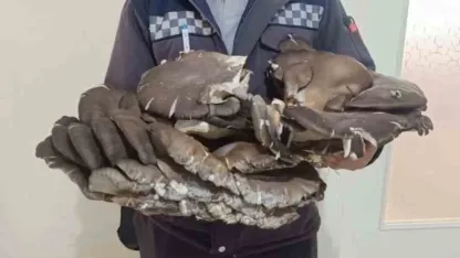 Doğada bulduğu 10 kiloluk mantar şaşırttı
