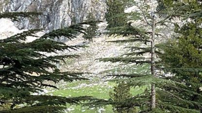 Kayalıklardan düşen Kemal Topal hayatını kaybetti