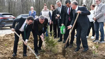 Samsun’da ormanlarda ağaçlandırma yapıldı
