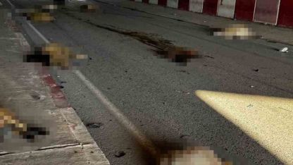 Otomobil sürüye daldı, 17 koyun telef oldu