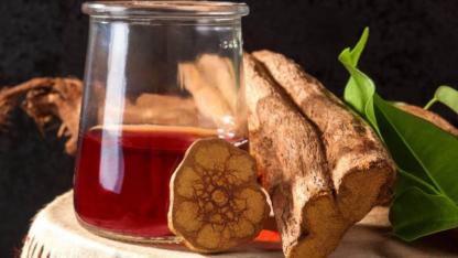 Ayahuasca Çayı nedir?