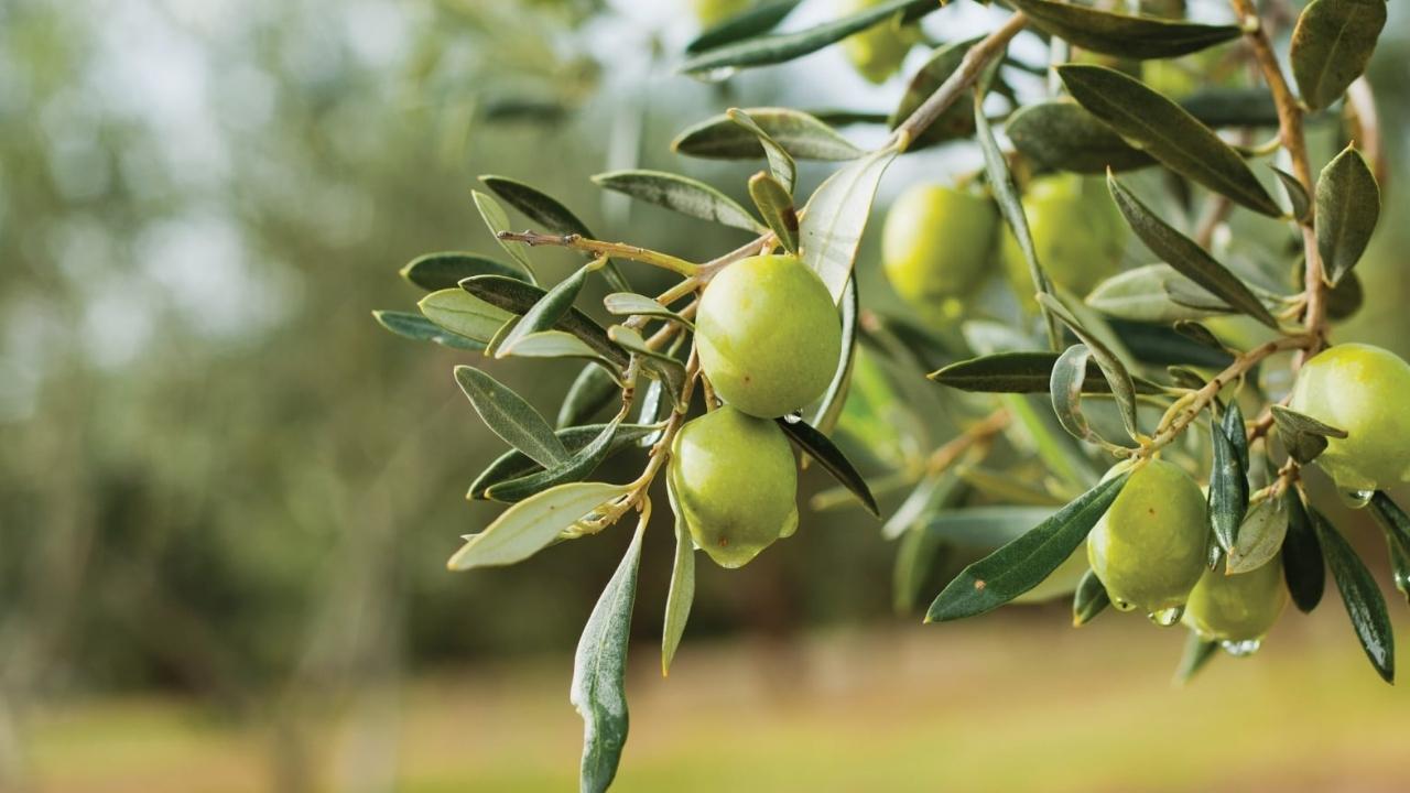 BAKTAT'tan şok karar!